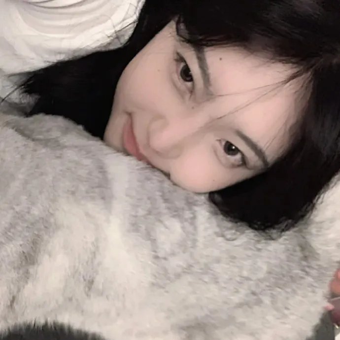 猎鹰计划